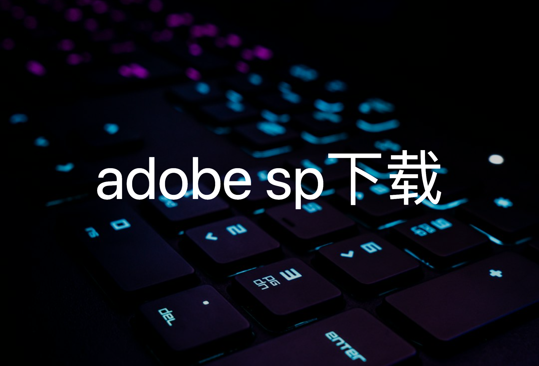 adobe sp下载